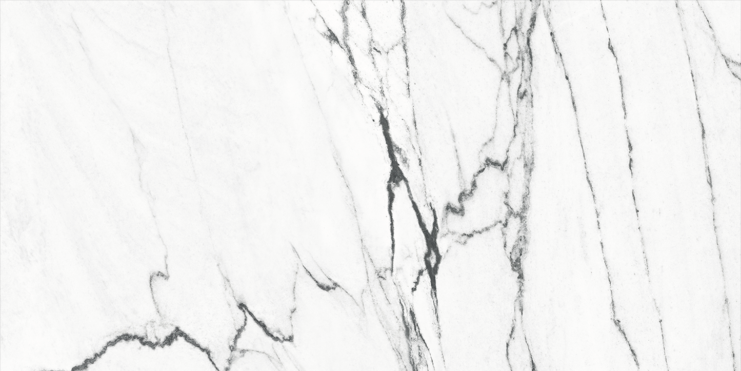 Calacatta Black 24x48 Polished Marble Look Porcelain Tile