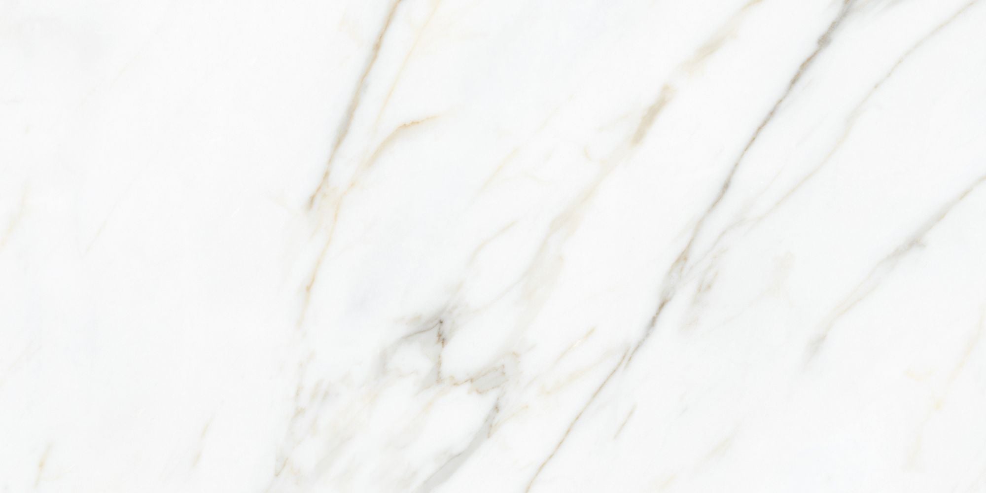 Calacatta Gold 12x24 Polished Marble Look Porcelain Tile