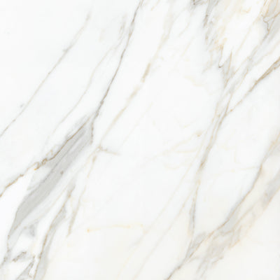 Calacatta Gold 24x24 Matte Finish Marble Look Porcelain Tile
