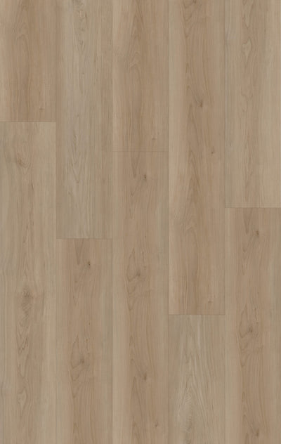 HTBC Maple Essence Canvas 9"x60"x12mm Laminate Flooring