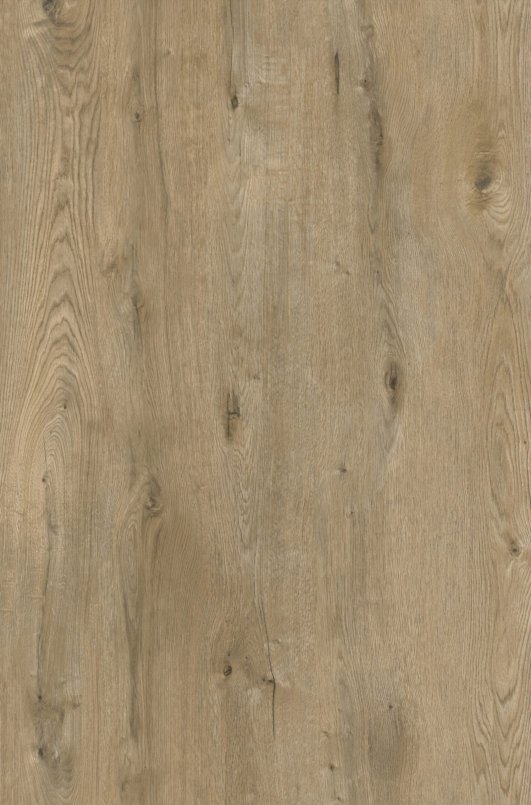 HTBC Durax Chestnut 9