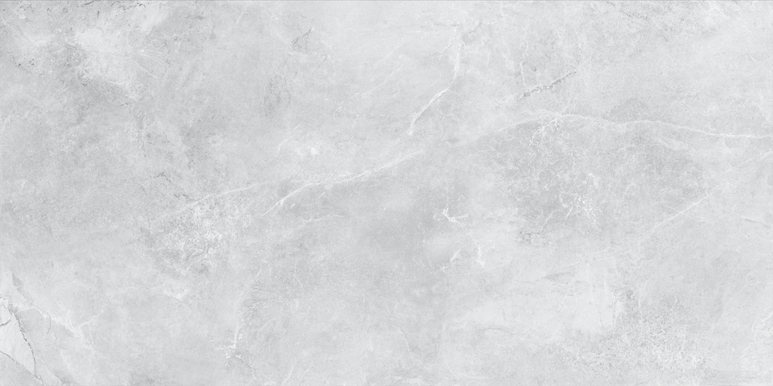 Core Light Grey 24x48 Matte Finish Porcelain Tile