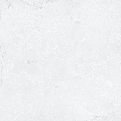 Dolomite White 24x24 Matte Finish Outdoor Deck Tile (2Cm)