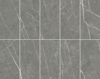 Elite Graphite 12x24 Polished