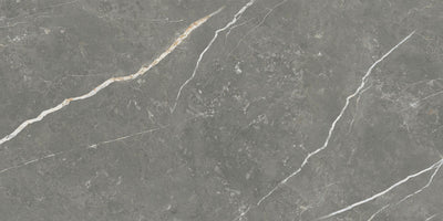 Elite Graphite 12x24 Matte