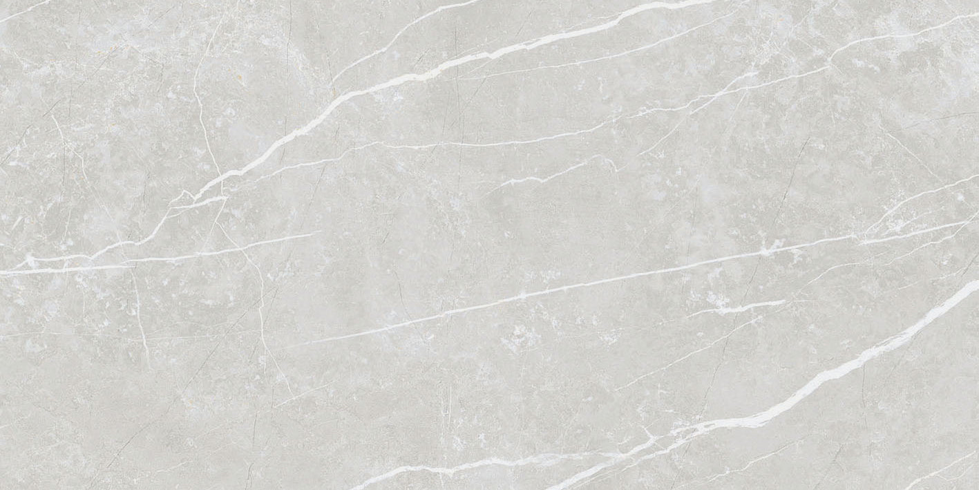 Elite Silver 12x24 Polished