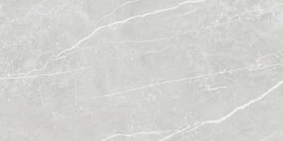 Elite Silver 12x24 Polished