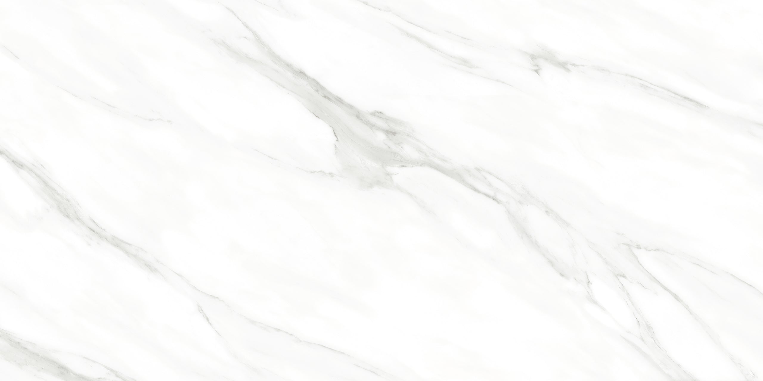Royal Calacatta 24x48 Polished Marble Look Porcelain Tile