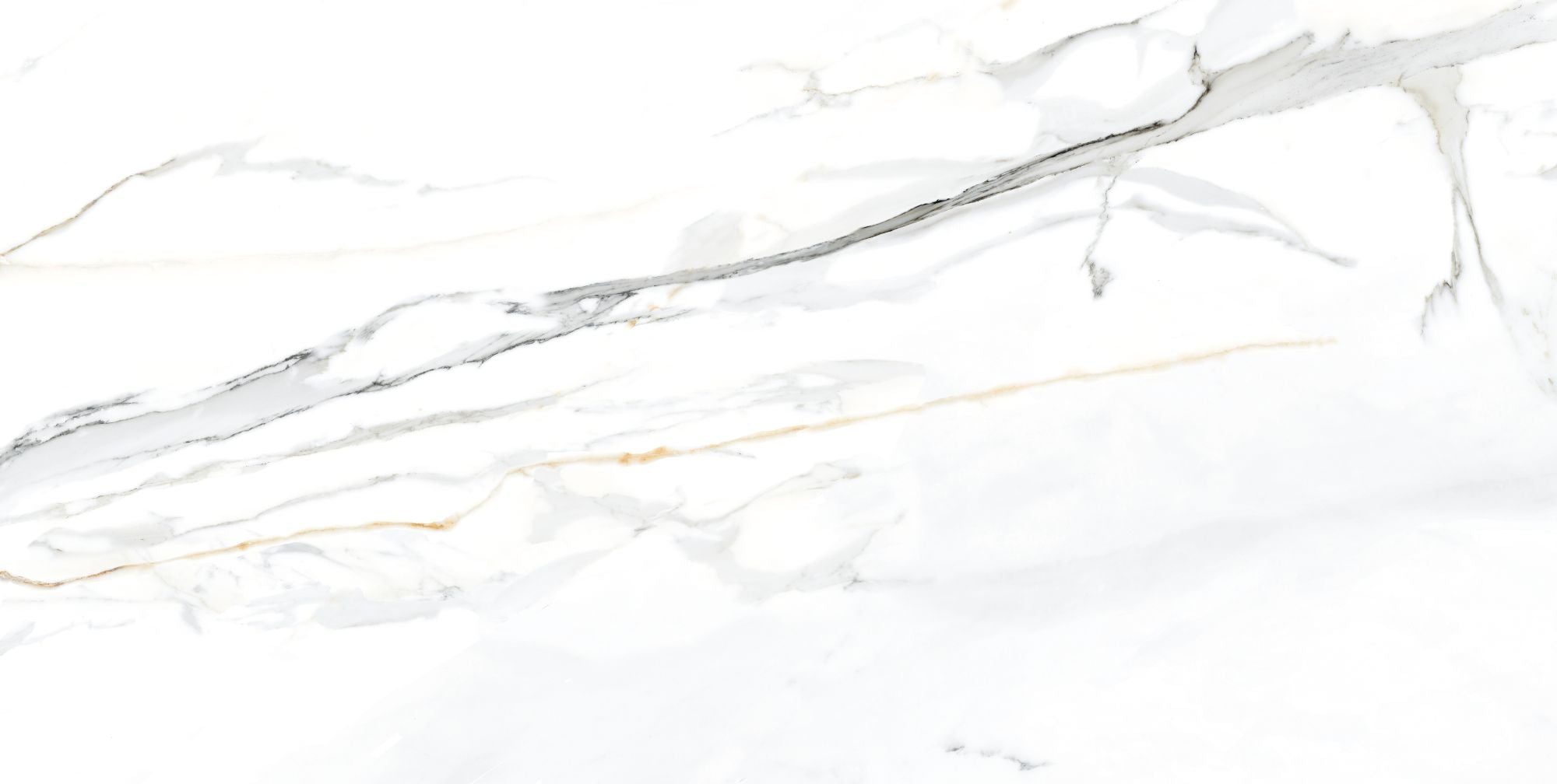Emporio Calacatta 24x48 Matte Marble Look Porcelain Tile