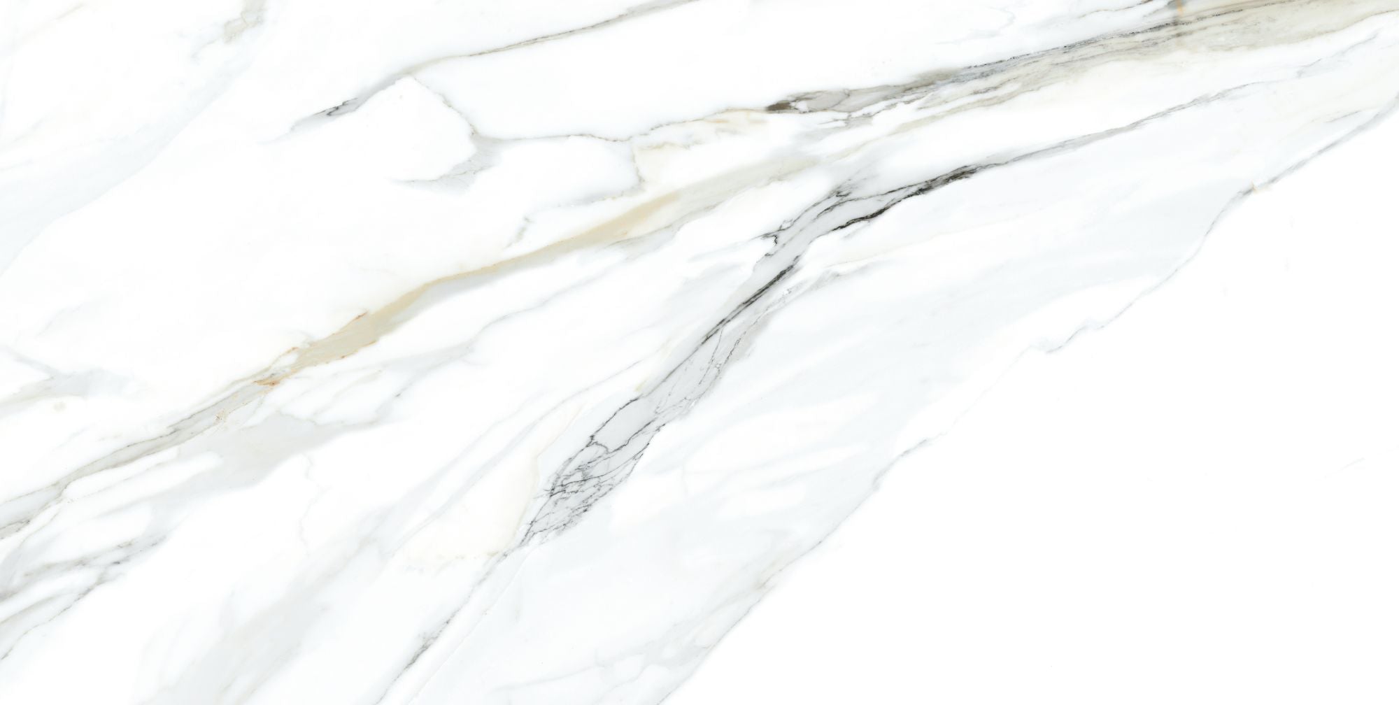 Emporio Calacatta 24x48 Polished Marble Look Porcelain Tile