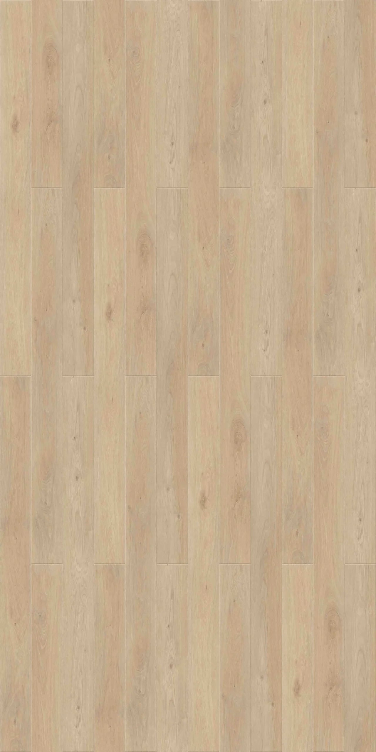 Primco Seville Flamenco 7