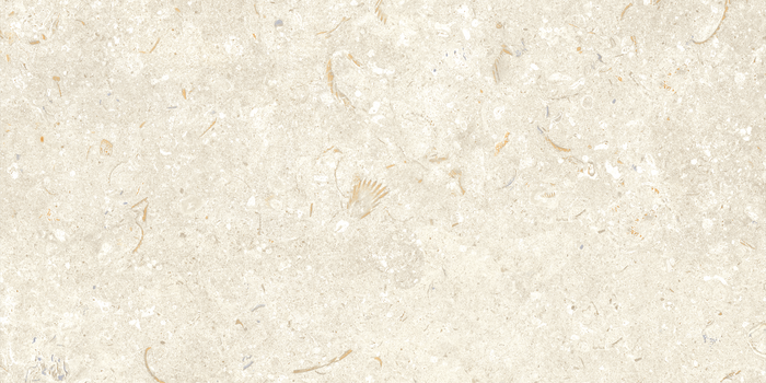 Fosil Bone Matte 12