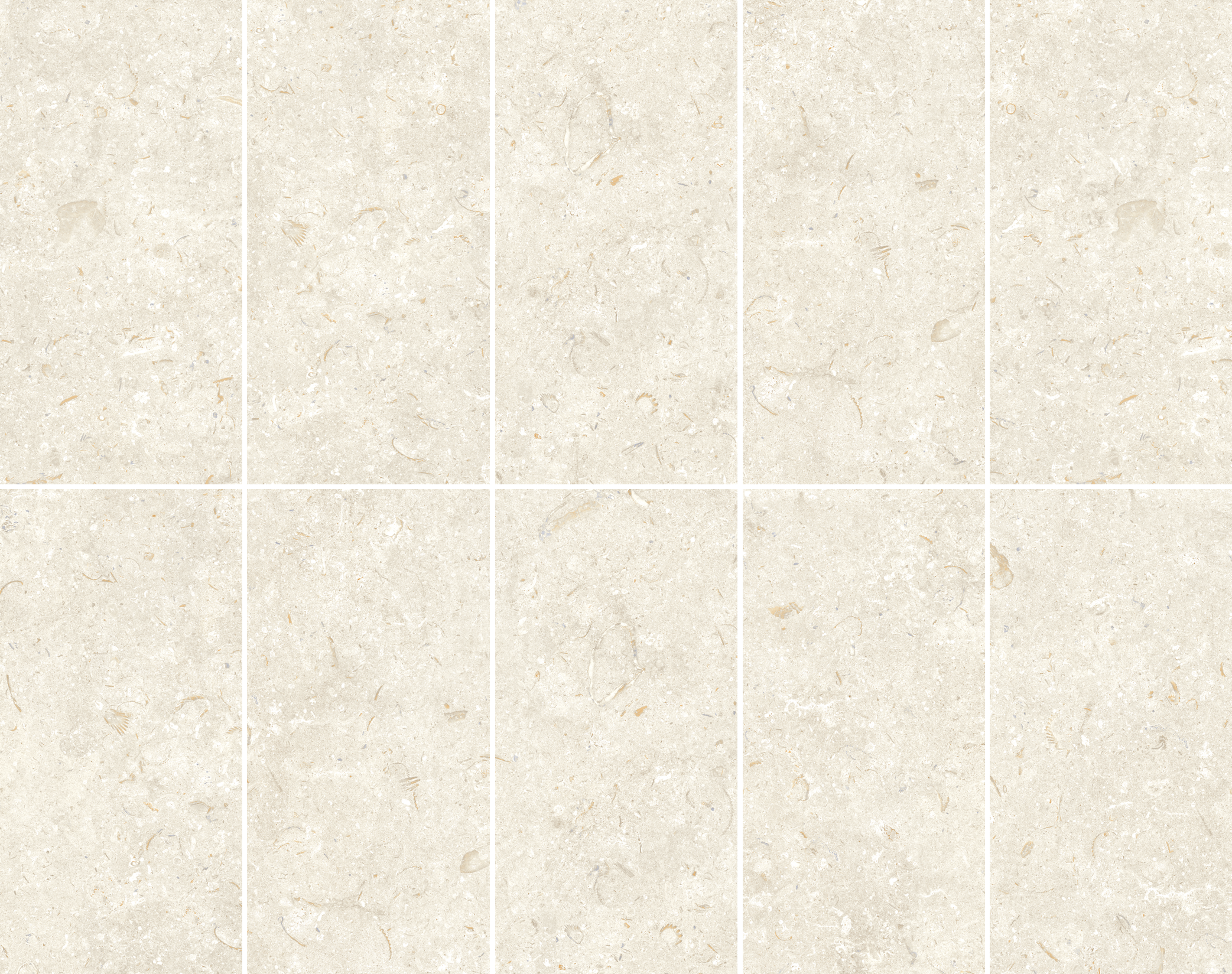 Fosil Bone 12x24 Matte Finish Porcelain Tile