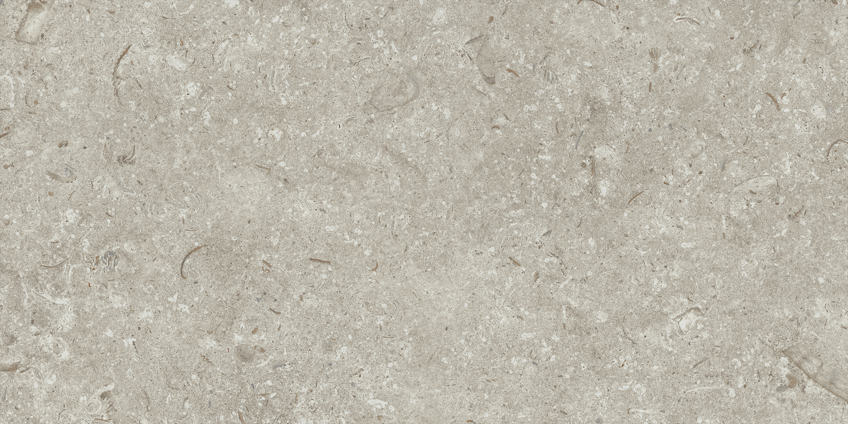Fosil Gris 12x24 Matte Finish Porcelain Tile