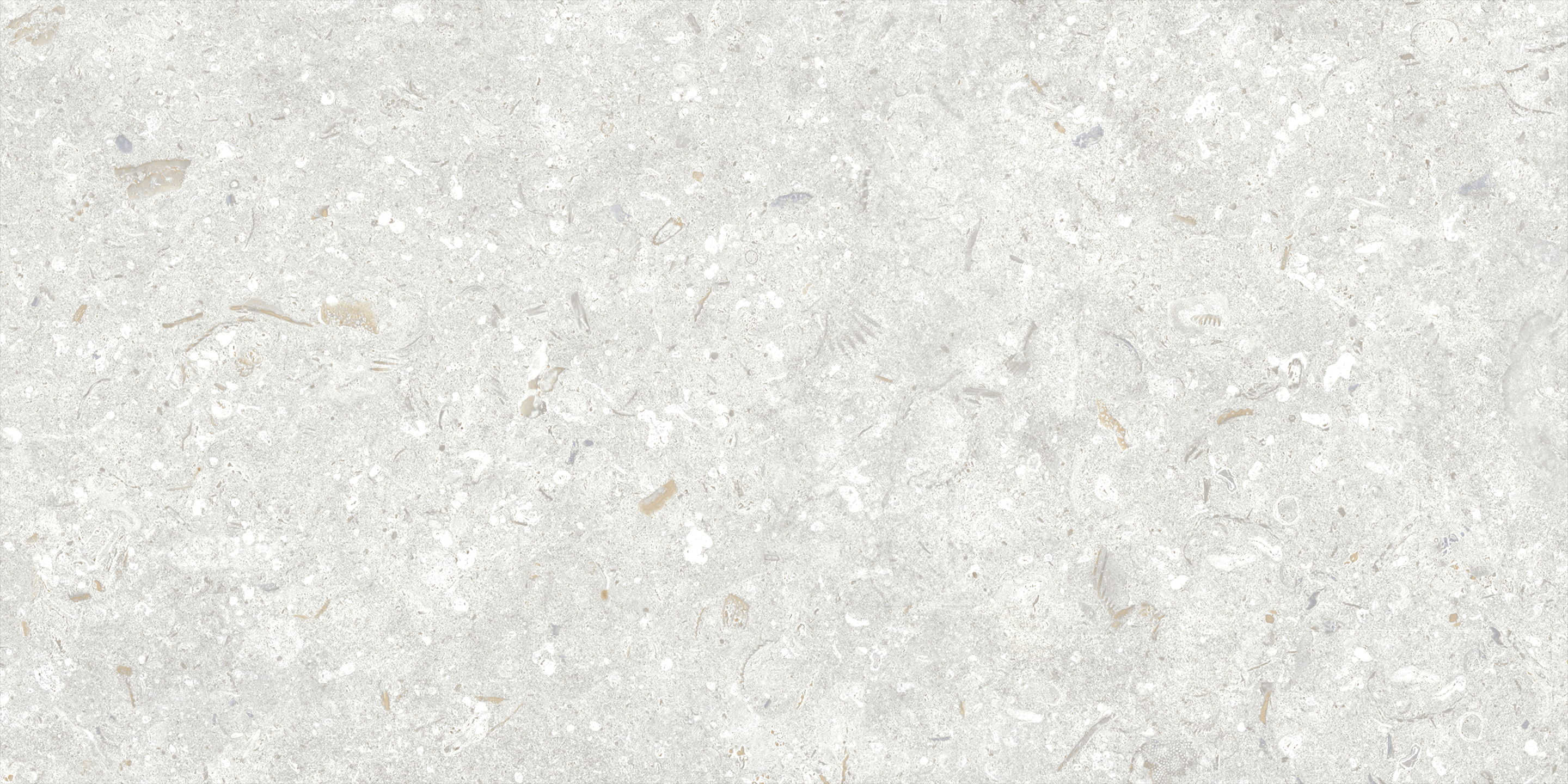 Fosil Perla 12x24 Matte Finish Porcelain Tile