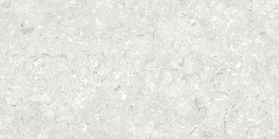 Fosil Perla 12x24 Matte Finish Porcelain Tile