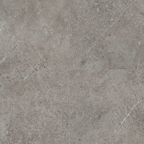 Next Floor Sandstone Fossil 12