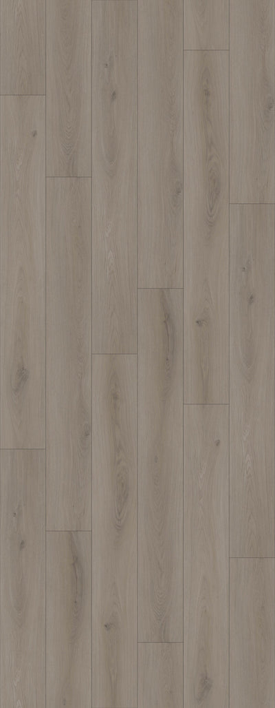 HTBC Resilience+ Halfmoon 7"x60"x12mm Laminate Flooring