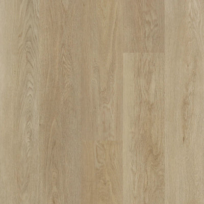 Biyork Traktion Haywire Vinyl T-Molding 94.5"
