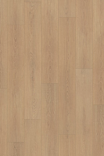 Homecoming Crest Oak 10mm Laminate Flooring 7”x47”