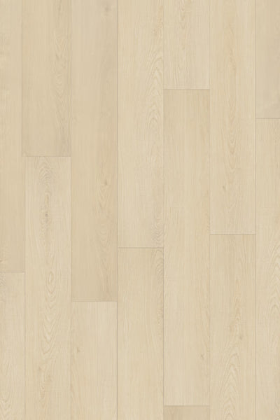 Homecoming Hollow Oak 10mm Laminate Flooring 7”x47”