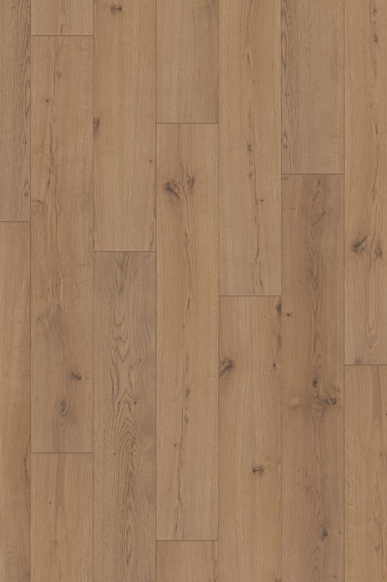 Homecoming Reserve Oak 10mm Laminate Flooring 7”x47”