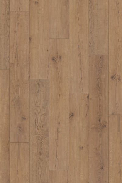 Homecoming Reserve Oak 10mm Laminate Flooring 7”x47”