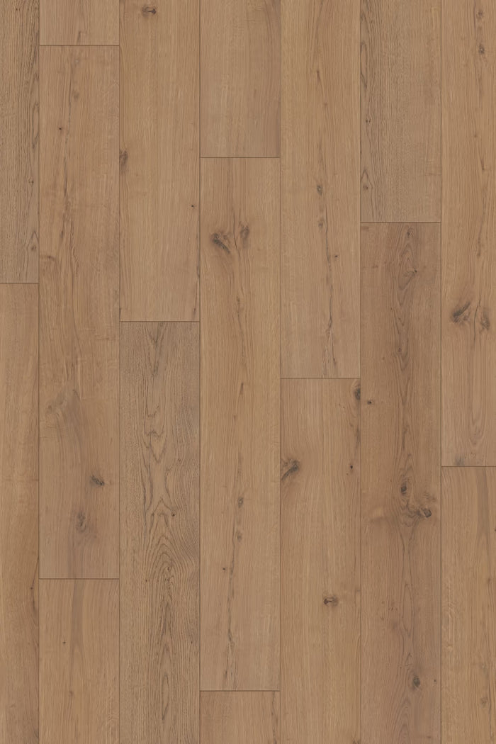 Homecoming Reserve Oak 10mm Laminate Flooring 7”x47”