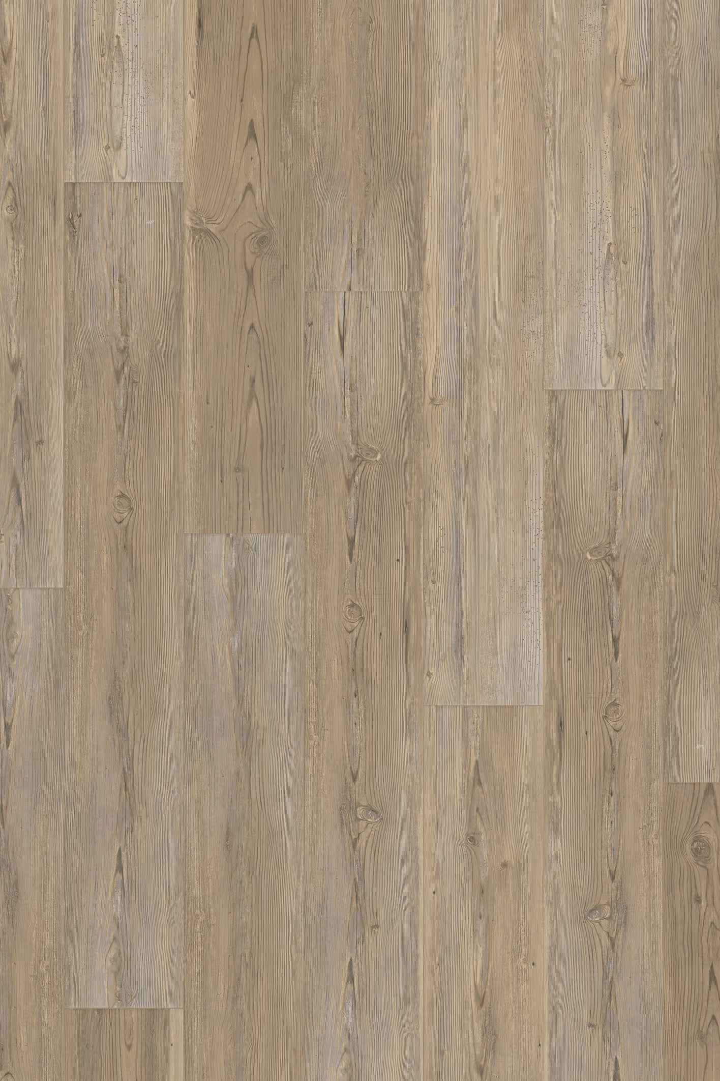 Homecoming Ridge Pine 10mm Laminate Flooring 7”x47”