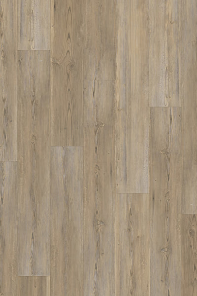 Homecoming Ridge Pine 10mm Laminate Flooring 7”x47”