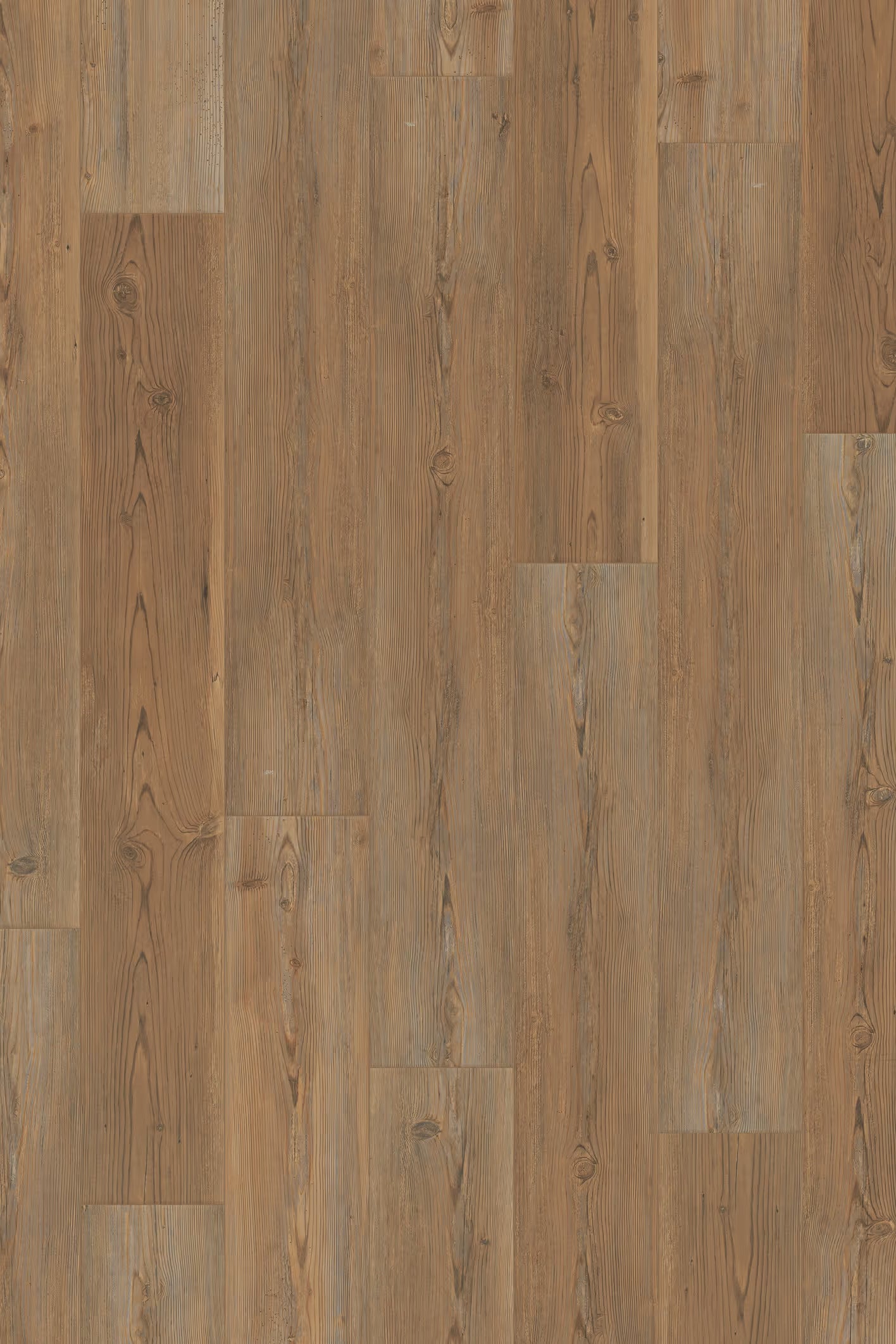 Homecoming Trail Pine 10mm Laminate Flooring 7”x47”