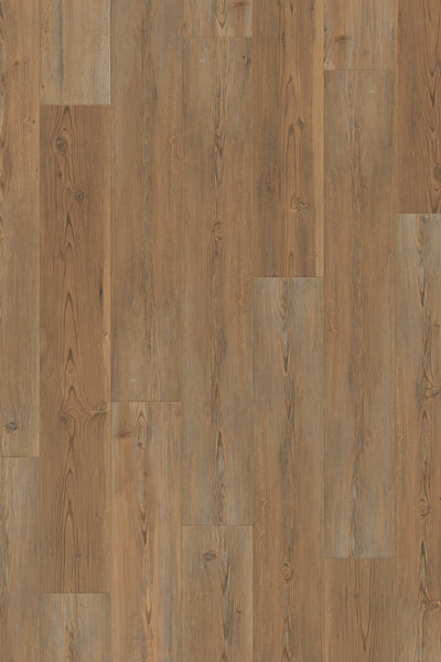 Homecoming Trail Pine 10mm Laminate Flooring 7”x47”
