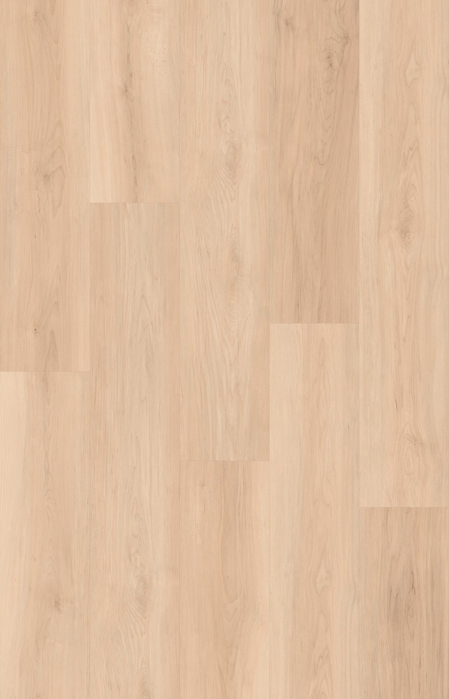 HTBC Maple Essence Honey 9"x60"x12mm Laminate Flooring