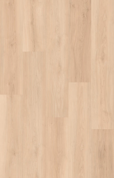 HTBC Maple Essence Honey 9"x60"x12mm Laminate Flooring