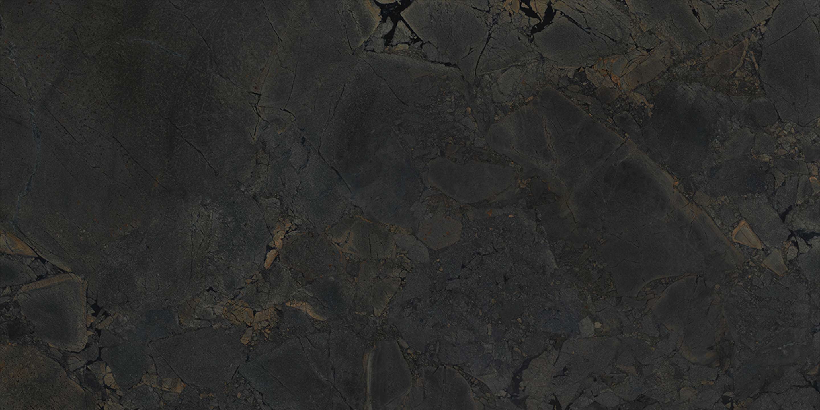 Jurassic Black 24x48 Polished Finish Porcelain Tile