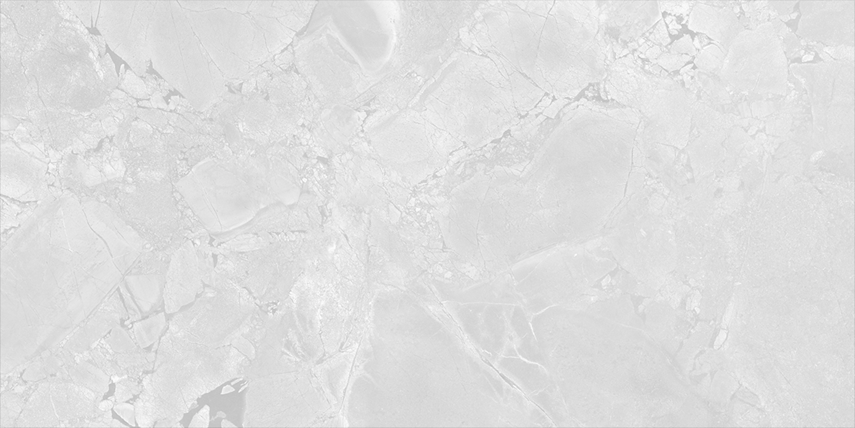 Jurassic White 24x48 Polished Finish Porcelain Tile