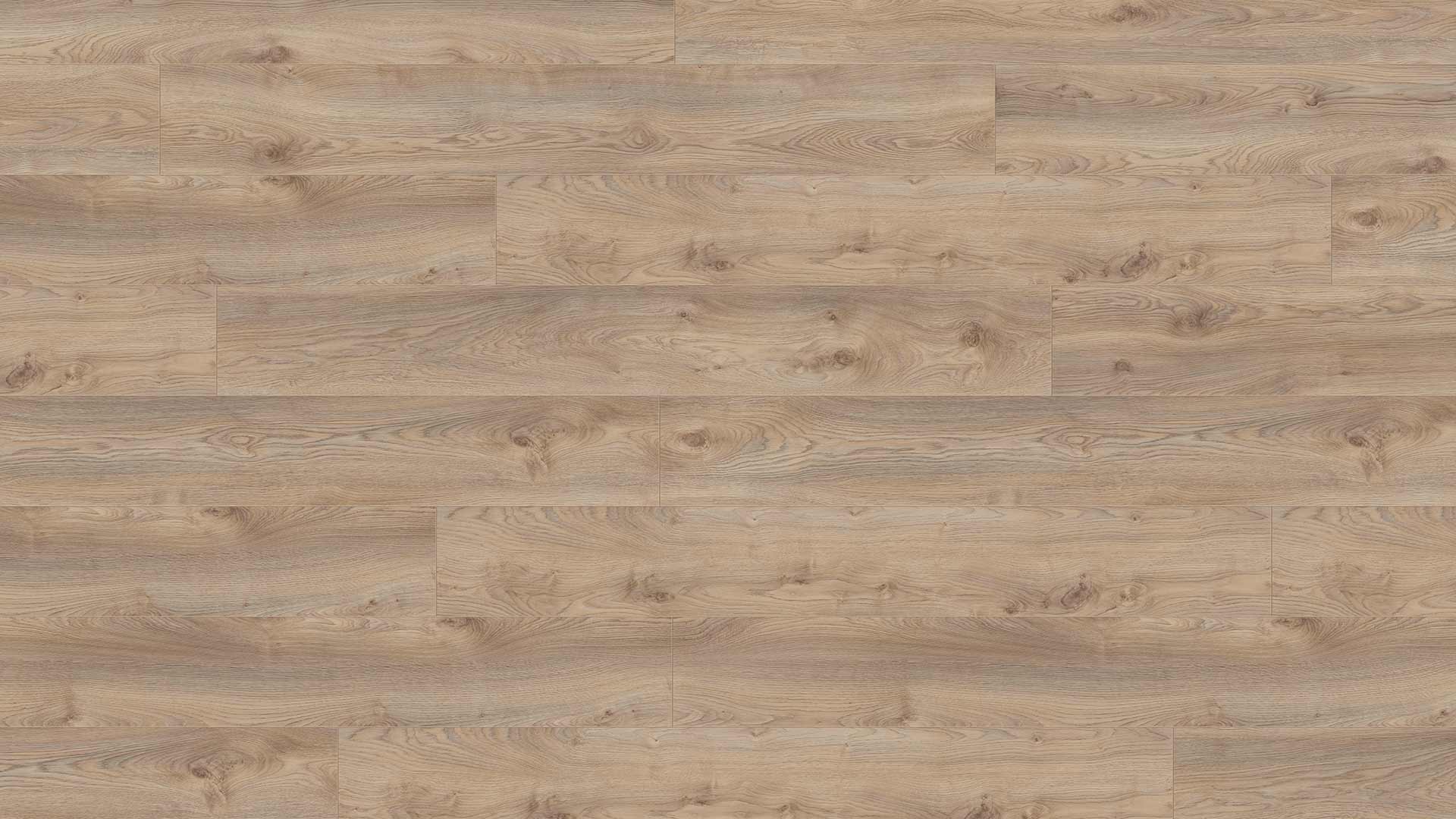 Eurostyle Makro Beige 9