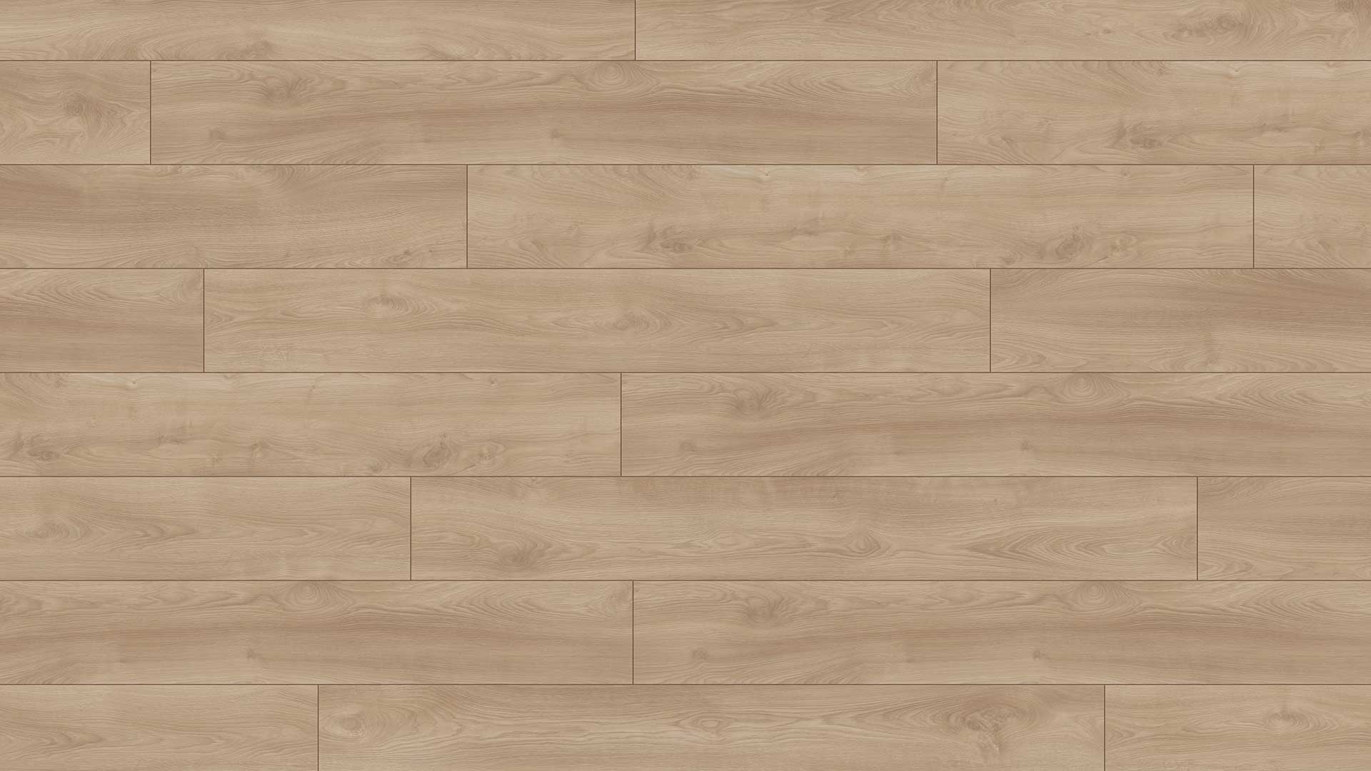 Eurostyle Makro Light 9