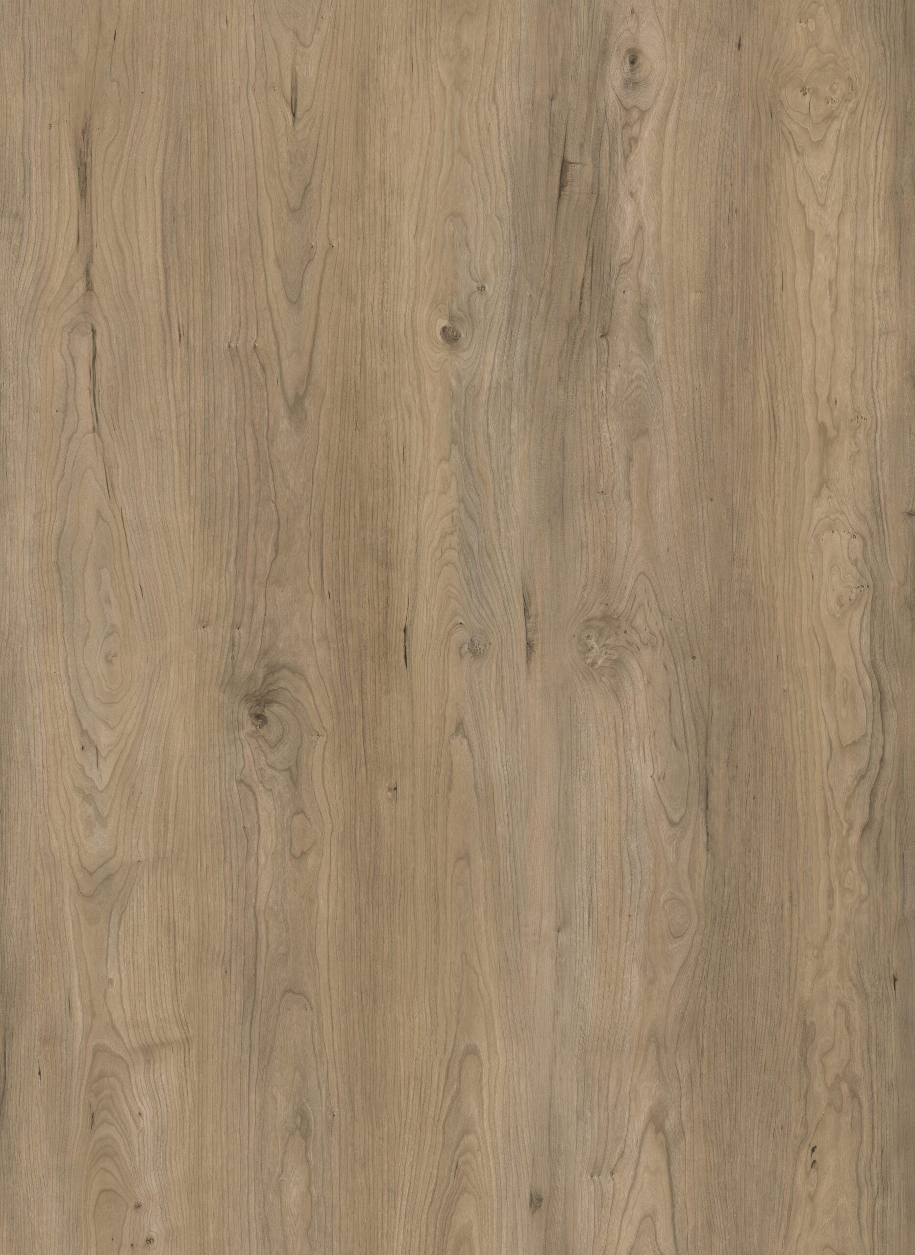 HTBC Oceanus Urban Slate 9