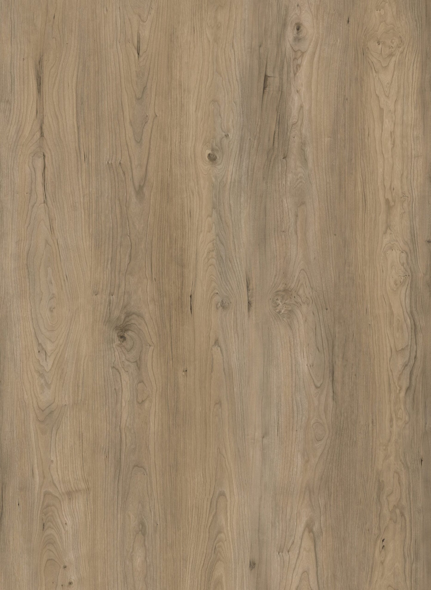 HTBC Oceanus Urban Slate 9"x60"x8mm SPC Vinyl Flooring