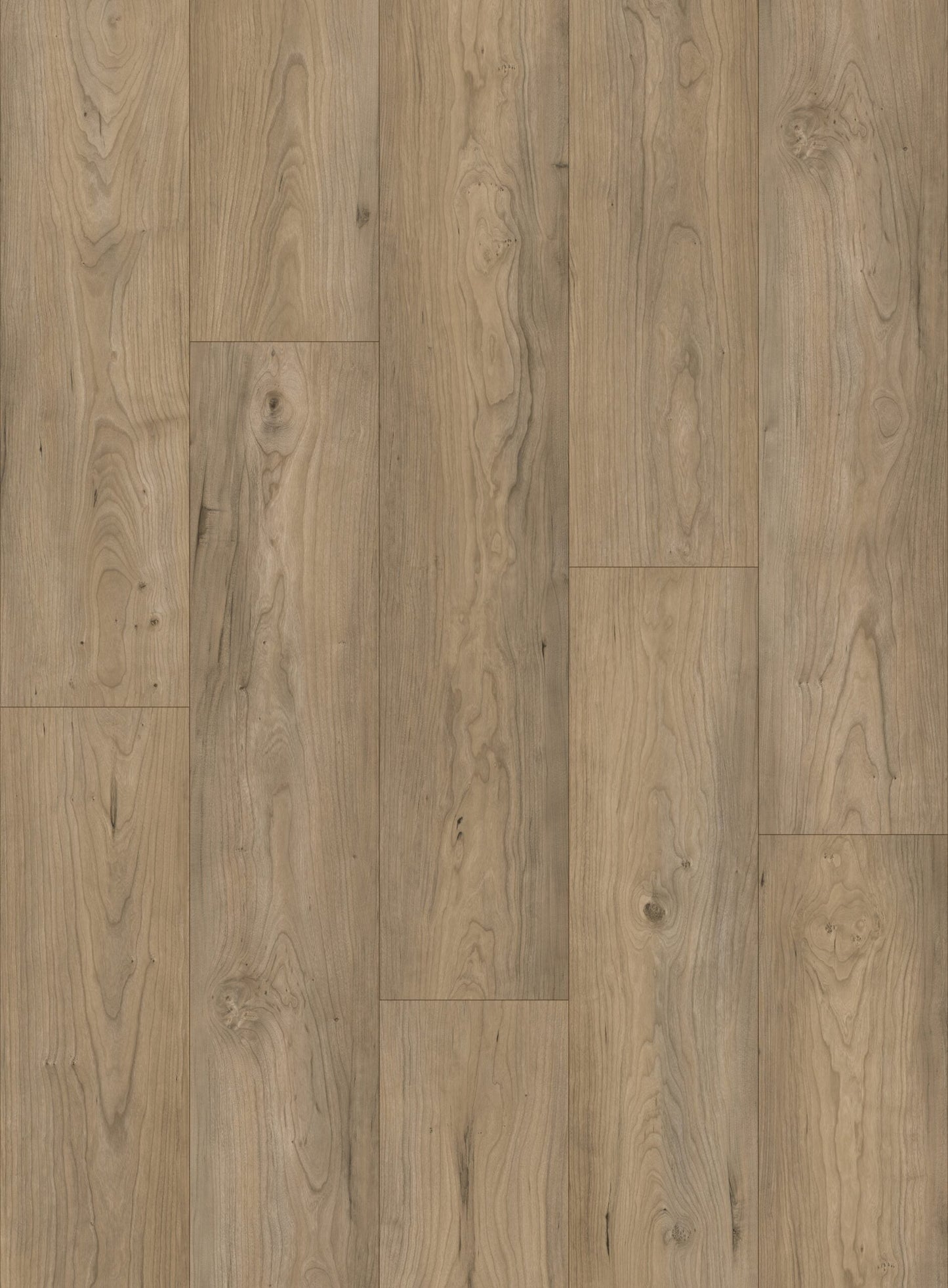 HTBC Oceanus Urban Slate 9"x60"x8mm SPC Vinyl Flooring