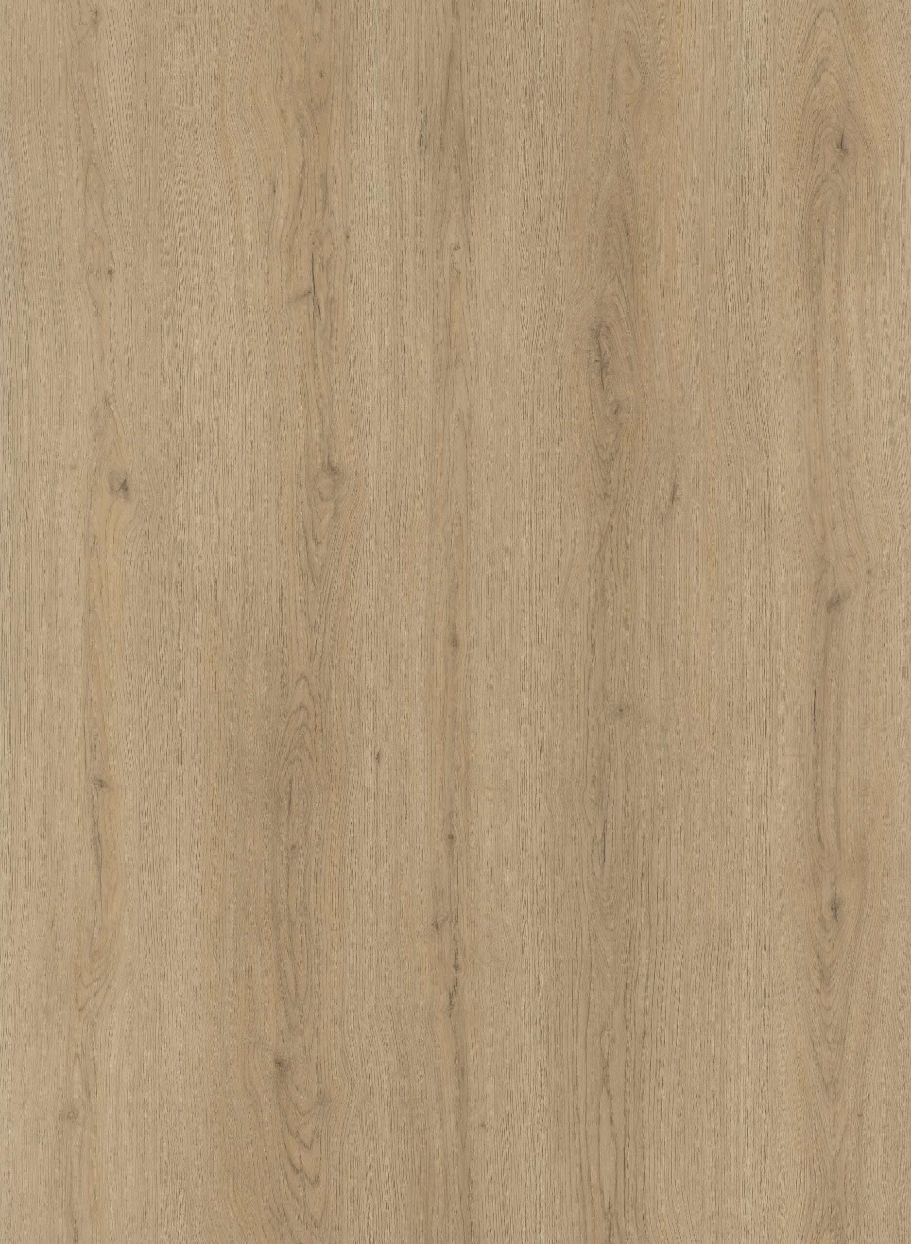 HTBC Oceanus Alpine Ash 9