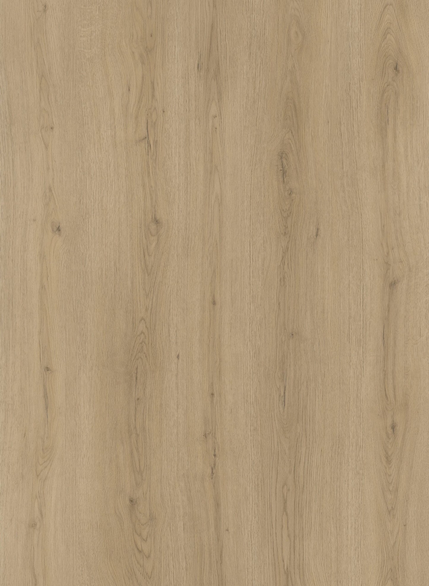 HTBC Oceanus Alpine Ash 9"x60"x8mm SPC Vinyl Flooring