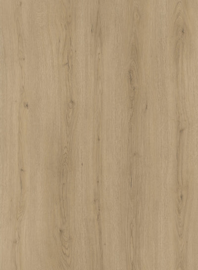 HTBC Oceanus Alpine Ash 9"x60"x8mm SPC Vinyl Flooring