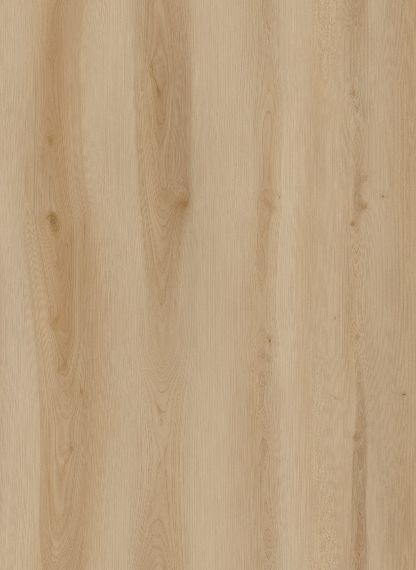 HTBC Oceanus Heritage Marble 9"x60"x8mm SPC Vinyl Flooring