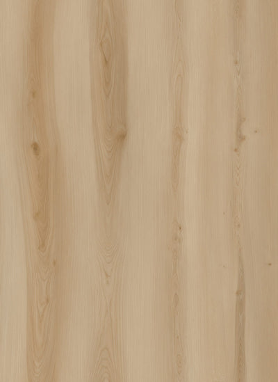 HTBC Oceanus Heritage Marble 9"x60"x8mm SPC Vinyl Flooring
