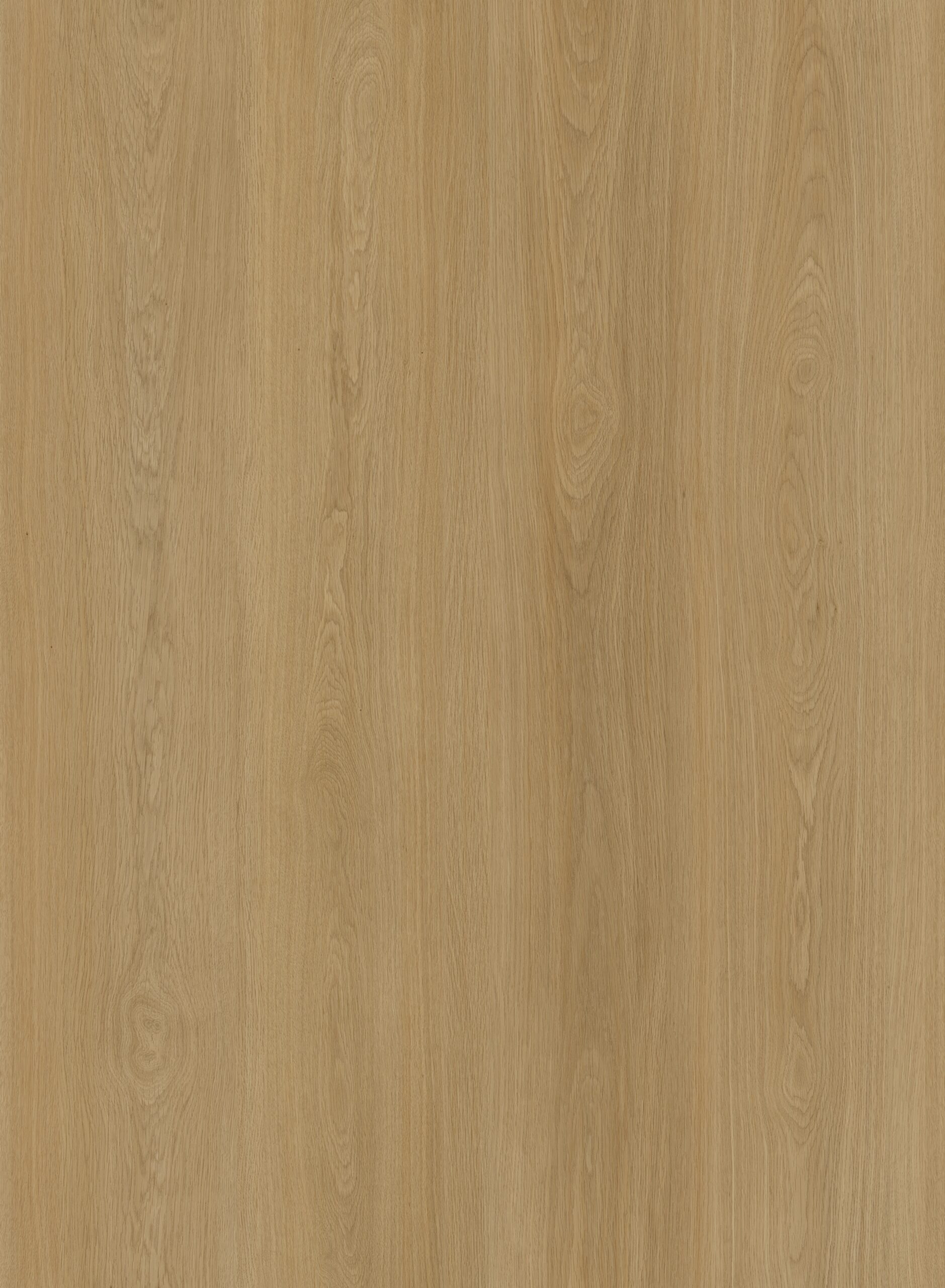 HTBC Oceanus Coastal Oak 9