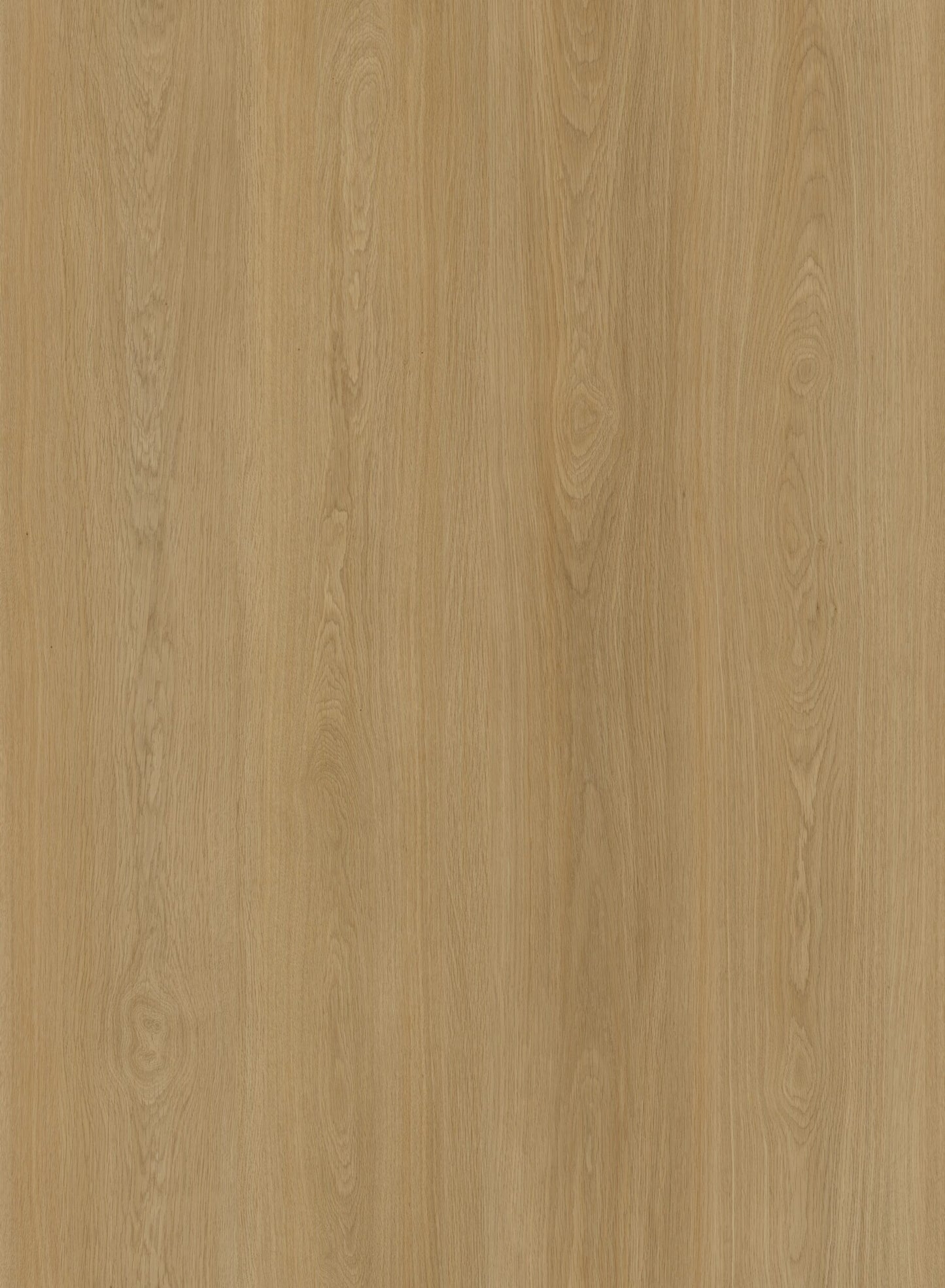 HTBC Oceanus Coastal Oak 9"x60"x8mm SPC Vinyl Flooring