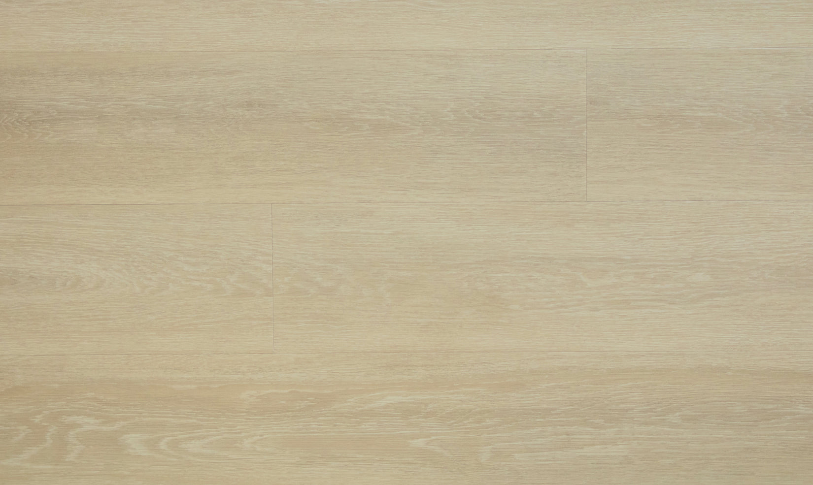 Grandeur Point Reyes 7