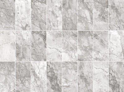 Portobello 24x48 Polished Finish Marble Look Porcelain Tile